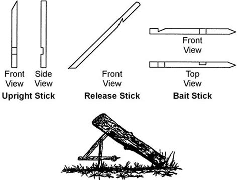 The Easy and Practical DIY Snares to Catch Small Wild Game - Ask a Prepper