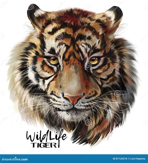 Tiger Watercolor Illustration Baby Safari Animal Watercolor Clipart