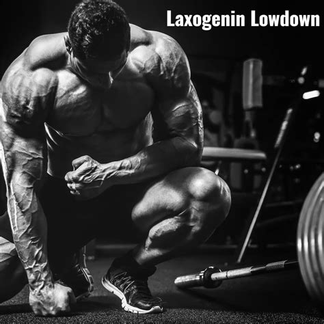 Laxogenin Lowdown - All Facts and Information Revealed