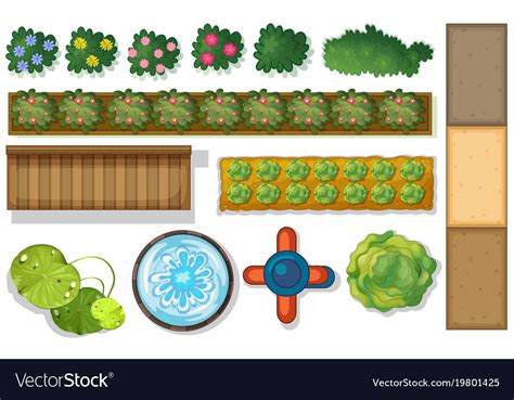 Top view of plants and pond in garden Royalty Free Vector