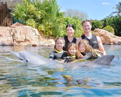 The Ultimate Guide to Visiting Discovery Cove Orlando - With the Blinks