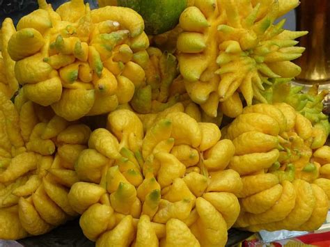 Unusual Fruit Names - Unbelievable Fruit Facts Rare Indian Fruits That ...