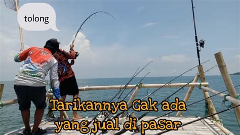 Mancing Bagan Tanjung Kait Terbaru Sensasi Strikenya Gak Ada Yang