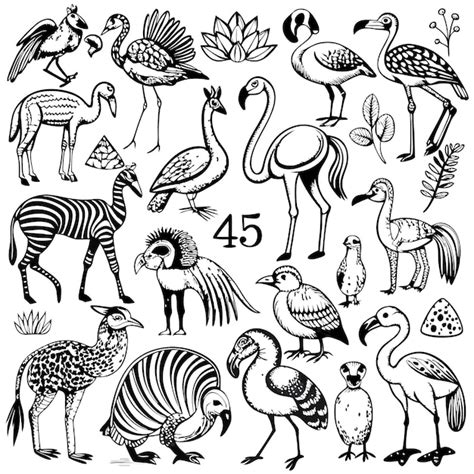 Una colección de varias aves y animales ilustrados en blanco y negro