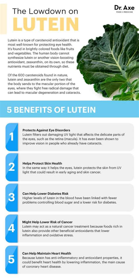 Lutein: The Antioxidant that Protects Your Eyes & Skin - Dr. Axe