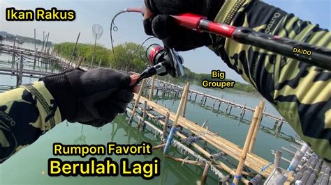 Mancing Dasaran Di Rumpon Favorit Yang Jadi Sarang Ikan Kelaparan Big