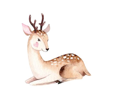 Woodland Aquarelle Animaux Mignons B B Cerf Dessin Anim Scandinave