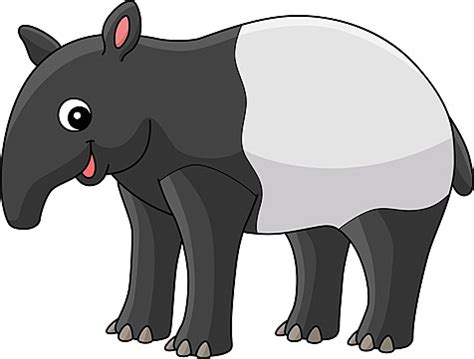 Tapir Animation PNG Transparent Images Free Download | Vector Files | Pngtree