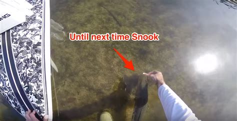 How To Catch Snook Redfish In The Winter Paddle Fishing Special