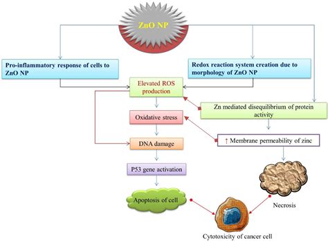 Nanomaterials Free Full Text Current Research On Zinc Oxide