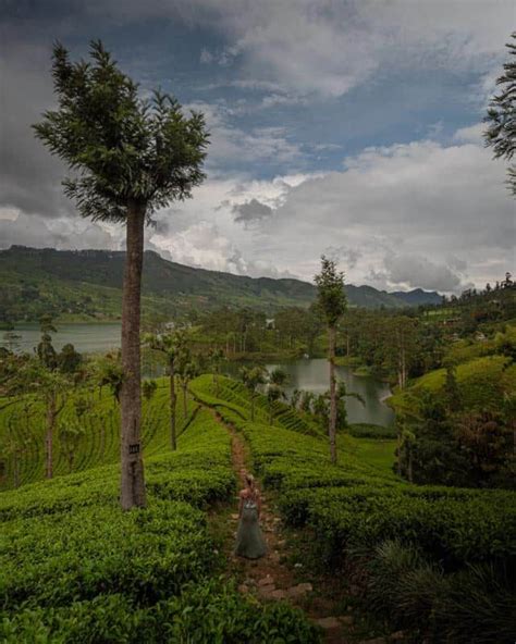 15 Best Places To Visit In Nuwara Eliya Ultimate Guide Artofit