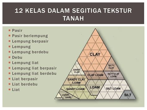 Gambar Segitiga Tekstur Tanah 47 Koleksi Gambar