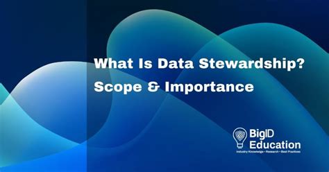 What Is Data Stewardship Scope Importance Bigid