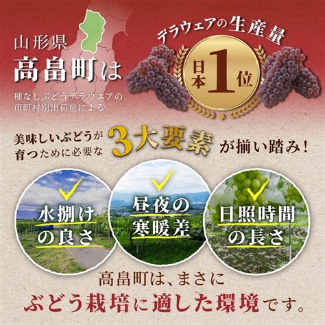 【楽天市場】【ふるさと納税】《先行予約》令和5年産 シャインマスカット箱詰（2房）約12kg F20b 723：山形県高畠町