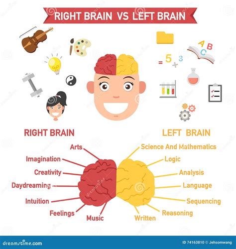 Left And Right Brain Functionsvector Stock Vector Illustration Of Cerebrum Complexity 74163810