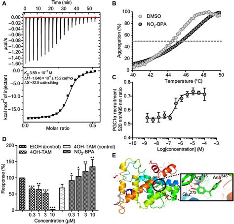 No 2 Bpa Binds To Err With A High Binding Affinity A Itc Download Scientific Diagram