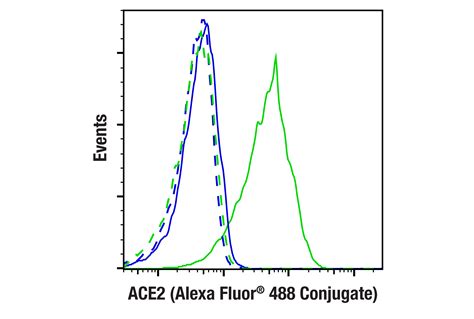 Ace E E I Mouse Mab Alexa Fluor Conjugate Cell Signaling