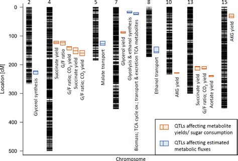 Qtl Map Plot Of All Detected Qtls Against Related Chromosomes With