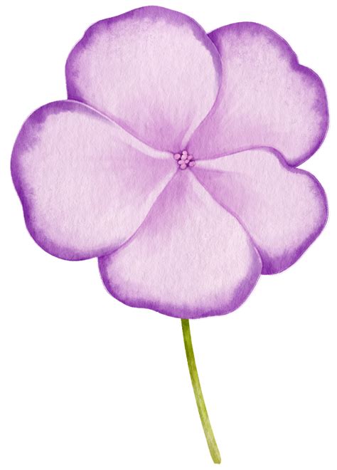 Purple Flowers Watercolor Illustration 9787367 PNG