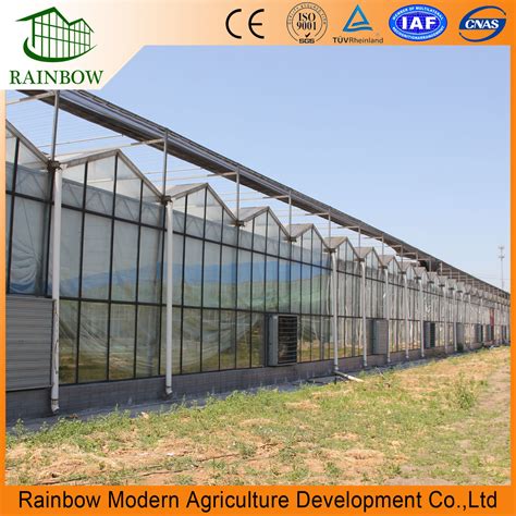 Agriculture Steel Structure Venlo Glass Vegetable Greenhouse China