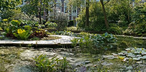 Hortus Amsterdam