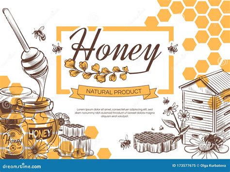 Sketch Honey Background Hand Drawn Sweet Dessert Natural Organic