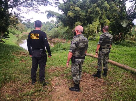 Pf Deflagra Operação De Combate A Crimes Ambientais No Litoral Do Paraná