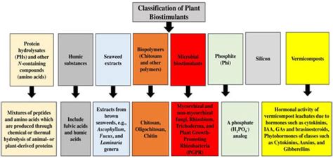Classification of Biostimulants | Encyclopedia MDPI 