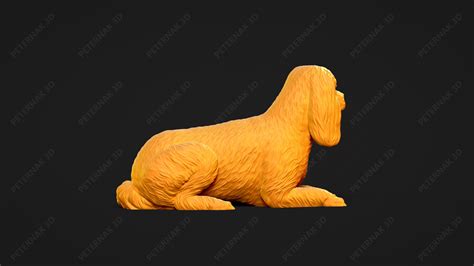 Fichier STL Cavalier King Charles Spaniel Modèle imprimé en 3D Pose 08