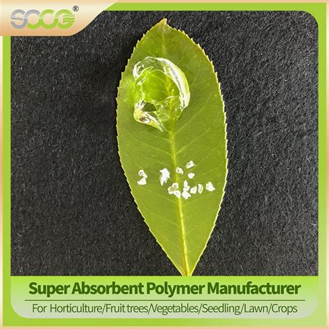 Sap Potassium Polyacrylate Hydrogel Super Absorbent Polymer For Plants