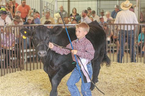 Park County Fair Junior Livestock Sale | Powell Tribune