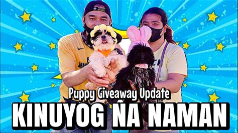 Kinuyog Na Naman Puppy Giveaway Update Grotto Pet Market Nov