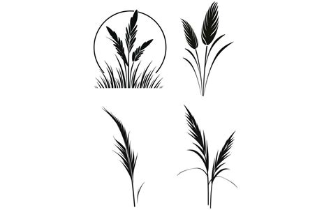 Pampas Grass Silhouette Pampas Grass Vector Silhouette 36119204 Vector Art At Vecteezy