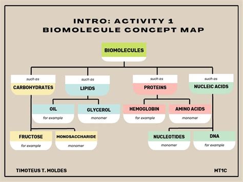 Intro Activity 1 Biomolecule Concept Map | PDF