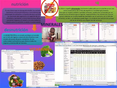 Calaméo Mapa mental de Nutrición