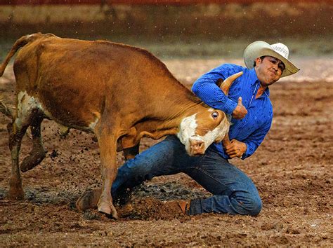 Rodeo Steer Wrestling Photograph by Running Brook Galleries | Pixels