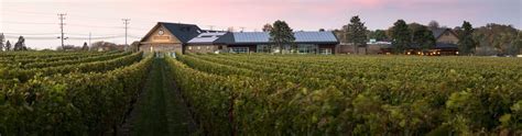 Newport Vineyards History and Newport County