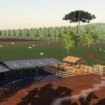 FDR SEMENTES MAP V1 0 FS19 Mod FS19 Net