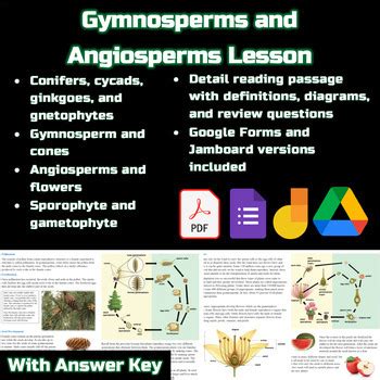 Gymnosperms And Angiosperms Venn Diagram