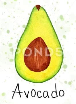 Watercolor Half Avocado With Seed Logo Clip Art 142029747