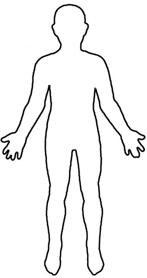 Printable Human Body Outline With Organs