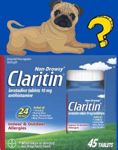 How much Claritin for dogs - Claritin dose by weight