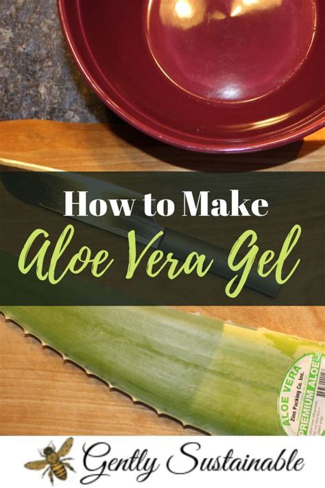 Make Your Own Aloe Vera Gel At Home