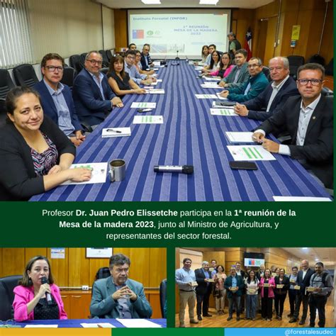 UdeC participa en la Reactivación de la Mesa de la Madera Forestal