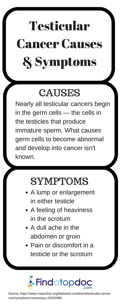 Testicular Cancer Symptoms Causes Treatment And Diagnosis Findatopdoc