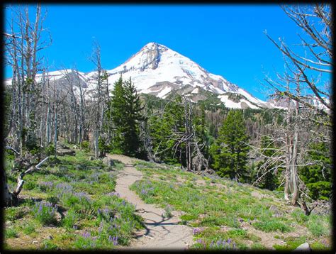 Hiking From Cooper Spur Ski Area To Tilly Jane And Cloud Cap Inn On