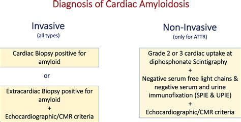 Diagnosis And Treatment Of Cardiac Amyloidosis A Position Statement Of