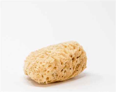 Sea Sponge — BC Essentials