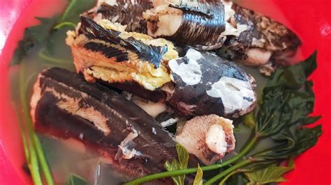 Sinampalukan Na Hito At Bunogsinabawang Isdalutong Probinsya