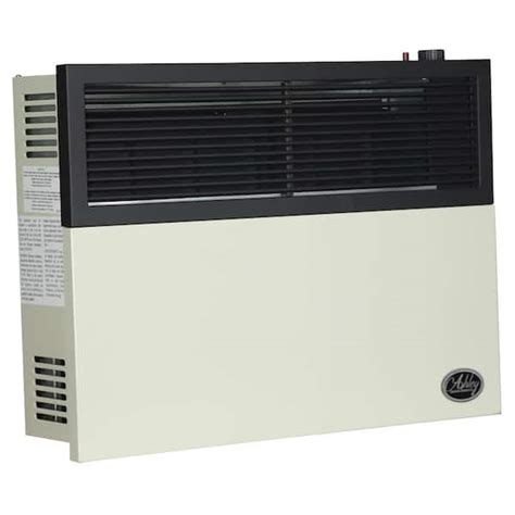 Ashley Hearth Products 17 000 BTU Direct Vent Natural Gas Heater